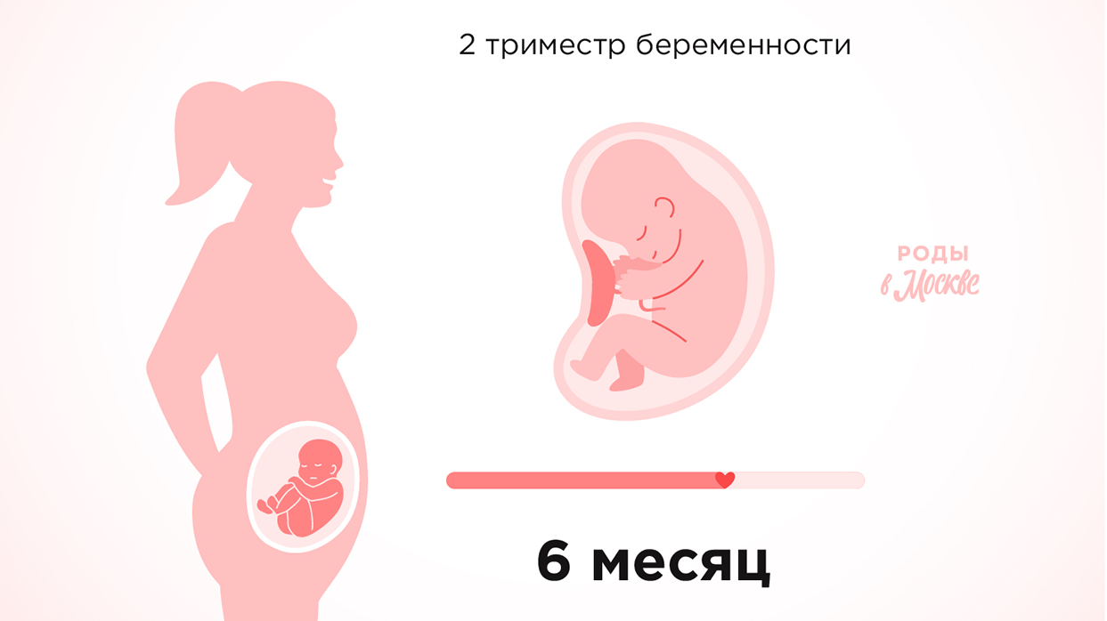 Второй триместр беременности – шестой месяц.