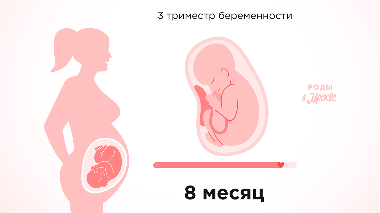 Третий триместр беременности – восьмой месяц.