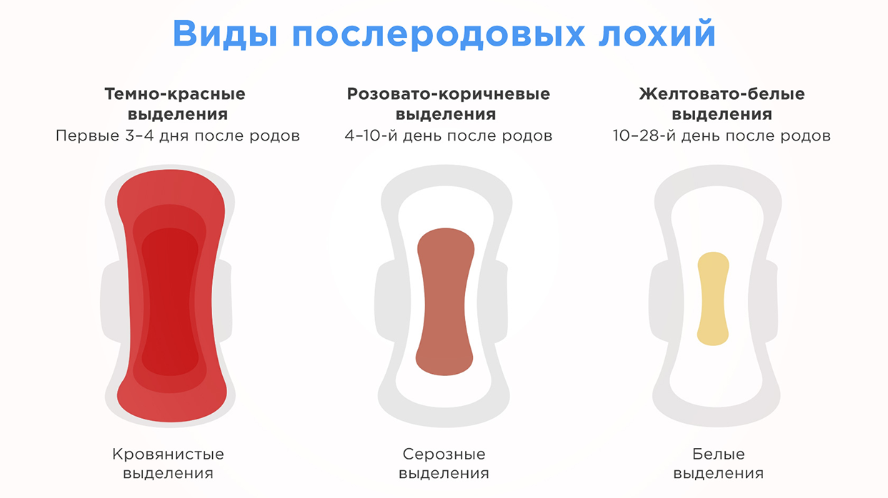 Сокращение матки после родов.